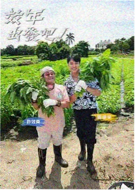 春光影院场次单原件图鉴